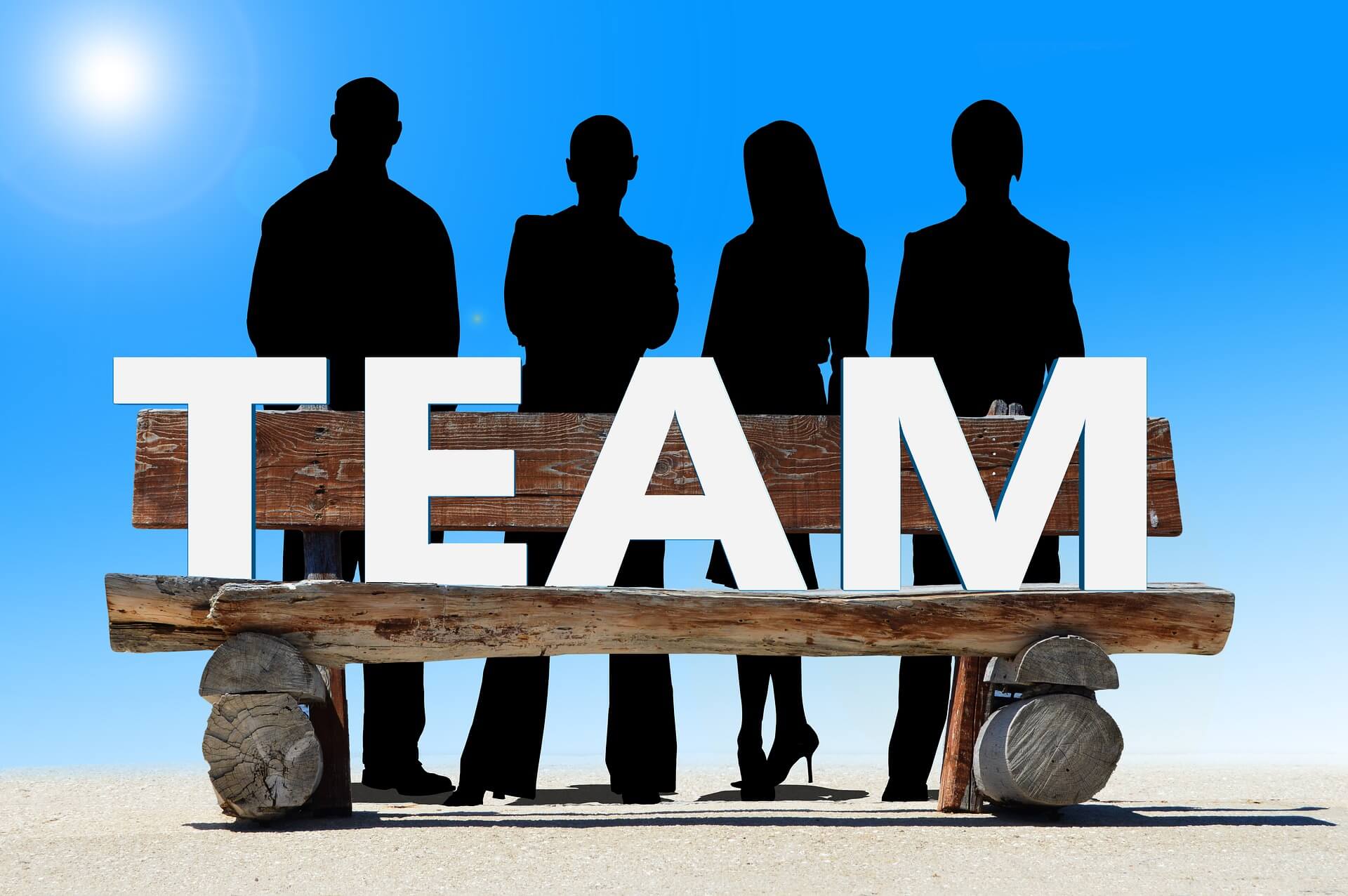What Makes Teamwork Effective?